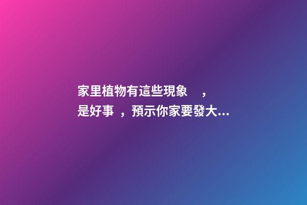 家里植物有這些現象，是好事，預示你家要發大財了！